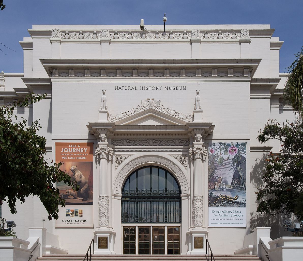 Музей история 5 класс. San Diego natural History Museum. San Diego California History. National History Museum in San Diego.. Центр истории Сан-Диего - San Diego History Center двери.